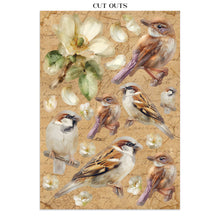 Stamperia - All Around Collection - Junk Journal Focus Points A5