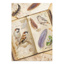 Stamperia - All Around Collection - Junk Journal Focus Points A5