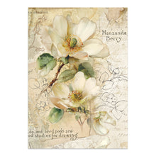 Stamperia - All Around Collection - Junk Journal Focus Points A5