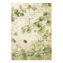 Stamperia - All Around Collection - Junk Journal Focus Points A5