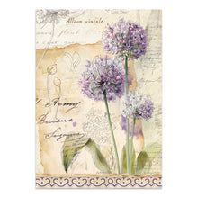 Stamperia - All Around Collection - Junk Journal Focus Points A5