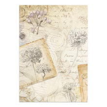 Stamperia - All Around Collection - Junk Journal Focus Points A5