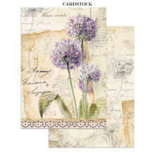 Stamperia - All Around Collection - Junk Journal Focus Points A5