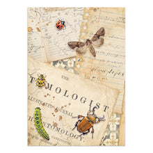 Stamperia - All Around Collection - Junk Journal Focus Points A5