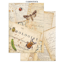 Stamperia - All Around Collection - Junk Journal Focus Points A5
