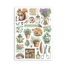 Stamperia Herbarium Silvae Collection - A5 Washi Pad - 8 Adhesive Washi Sheets