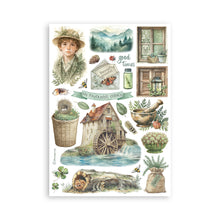 Stamperia Herbarium Silvae Collection - A5 Washi Pad - 8 Adhesive Washi Sheets