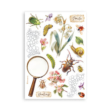 Stamperia - All Around Collection - A5 Washi Pad - 8 Adhesive Washi Sheets