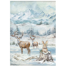 Stamperia - Owl's House Collection - A4 Rice Paper Bundle (6 x papers) - SPDFSA4XOH