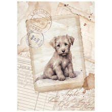 Stamperia - Quiet Days Collection - A6 Rice Paper Pack of 8