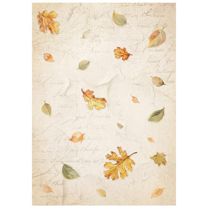 Stamperia - Whispering Woods Collection - A6 Rice Paper Pack of 8