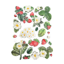 Stamperia Hidden Grove Silicone Mould - A5 Strawberries - KACMA575