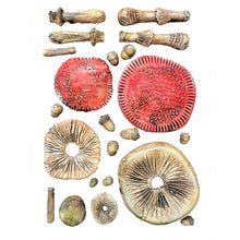 SAVE 10% Stamperia Whispering Woods Collection - Silicone Mould - A5 - Toadstools