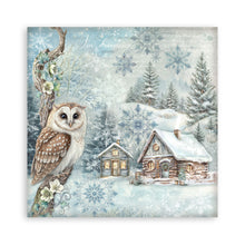 Stamperia Owl's House Collection - 12” x 12” Pad - 10 double faced sheets - SPSBBL174