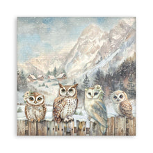 Stamperia Owl's House Collection - 12” x 12” Pad - 10 double faced sheets - SPSBBL174