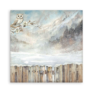 Stamperia Owl's House Collection - 12” x 12” Pad - 10 double faced sheets - SPSBBL174