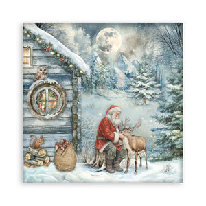 Stamperia Owl's House Collection - 12” x 12” Pad - 10 double faced sheets - SPSBBL174
