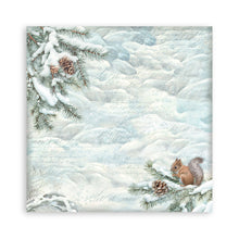 Stamperia Owl's House Collection - 12” x 12” Pad - 10 double faced sheets - SPSBBL174