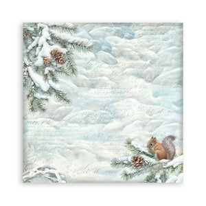Stamperia Owl's House Collection - 12” x 12” Pad - 10 double faced sheets - SPSBBL174