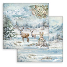 Stamperia Owl's House Collection - 12” x 12” Pad - 10 double faced sheets - SPSBBL174