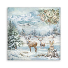 Stamperia Owl's House Collection - 12” x 12” Pad - 10 double faced sheets - SPSBBL174