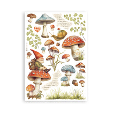 Stamperia Hidden Grove - Washi Pad - 8 Adhesive Washi Sheets - SBW17