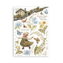 Stamperia Hidden Grove - Washi Pad - 8 Adhesive Washi Sheets - SBW17