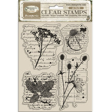 Stamperia Herbarium Silvae Collection Clear Stamp Set - Botanic - 14cm x 18cm