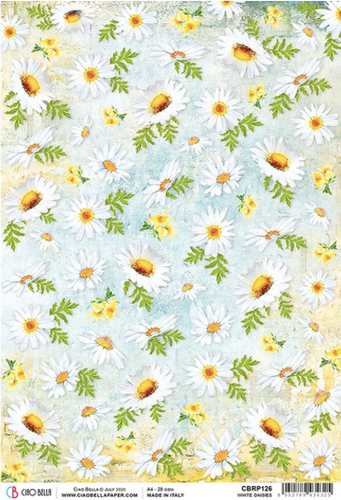 Ciao Bella - White Daisies - Piuma Rice Paper A4 - CBRP126