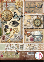 Ciao Bella Cabinet of Curiosities - Creative Pad CBCL085