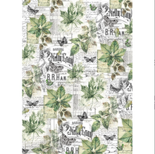 Ciao Bella Vellum Paper (Translucent) A4 - Pack of 6 - Cabinet of Curiosities CBV024