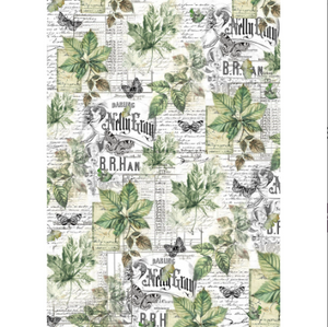 Ciao Bella Vellum Paper (Translucent) A4 - Pack of 6 - Cabinet of Curiosities CBV024