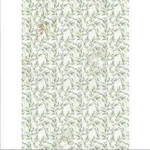 Ciao Bella Vellum Paper (Translucent) A4 - Pack of 6 - Cabinet of Curiosities CBV024