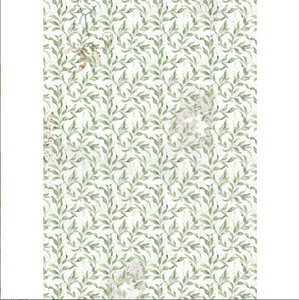 Ciao Bella Vellum Paper (Translucent) A4 - Pack of 6 - Cabinet of Curiosities CBV024
