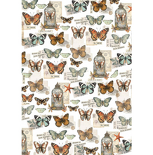 Ciao Bella Vellum Paper (Translucent) A4 - Pack of 6 - Cabinet of Curiosities CBV024