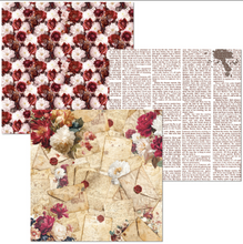 Ciao Bella - Book Lovers - Deluxe Paper Silver & Vellum Dual Pack - 6" x 6" Mixed - Pack of 6 - CBXQ004