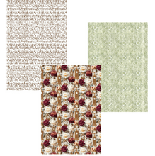 Ciao Bella - Book Lovers - Deluxe Paper Silver & Vellum Dual Pack - A4 Mixed - Pack of 6 - CBX004