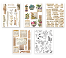 Arden Creative Studio Garden Chronicles Sticker Book by Katie Pertiet