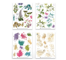 Arden Creative Studio Garden Chronicles 6x8 Inch Rub-On Transfer Set by Katie Pertiet