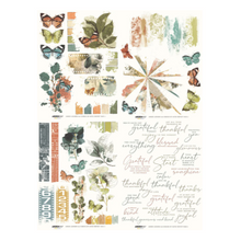 Arden Creative Studio Amber Ledgers Rub-On Transfer Set – Katie Pertiet – 6 x 8 Inches (ACSRO0013)