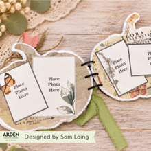 Arden Creative Studio Amber Ledgers Black 3-Ring Binders – Katie Pertiet – Pack of 5 (ACSRB0001)