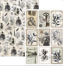 Ciao Bella - Typographic Collection - Creative Pad A4 -CBCL095