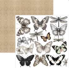 Ciao Bella - Typographic Collection - Fussy Cut Pad (6"x6") CBQE095