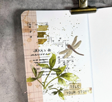 Arden Creative Studio Garden Chronicles PET Tape Ledger Continuous (5cmx5m) by Katie Pertiet
