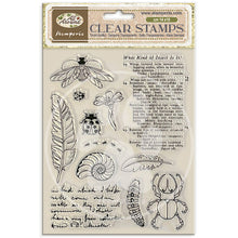 Stamperia - All Around Collection Clear Stamp Set - All Around - 14cm x 18cm