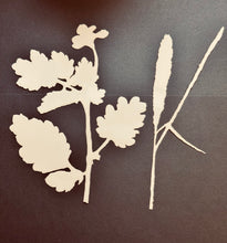 Art Inspirations Stencil & Mask Set designed by Leonie - Nature Prints - Grasses
